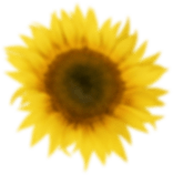 h1-image-slider-01.png