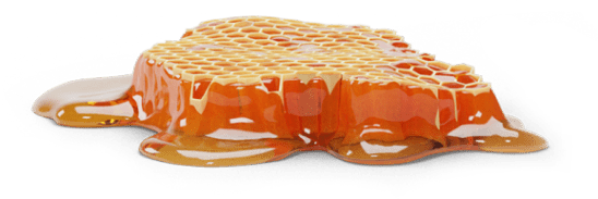 h1-image-slider-05-min.png