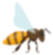 h1-image-slider-07-sl2.png
