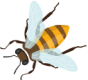 h1-image-slider-08-min.png